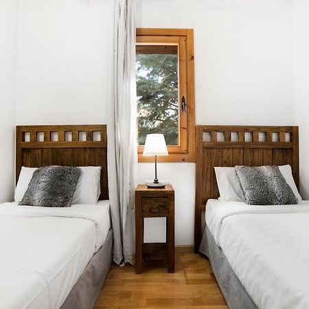 Apartaments Esquirol 埃尔塔特 外观 照片